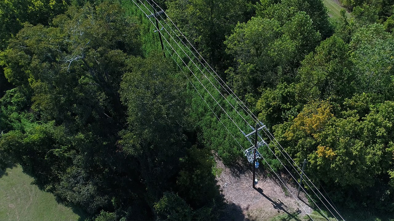 Improving Distribution System Reliability