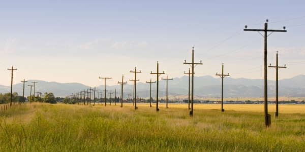 SEL Webinar Shows How to Solve Distribution Protection Challenges